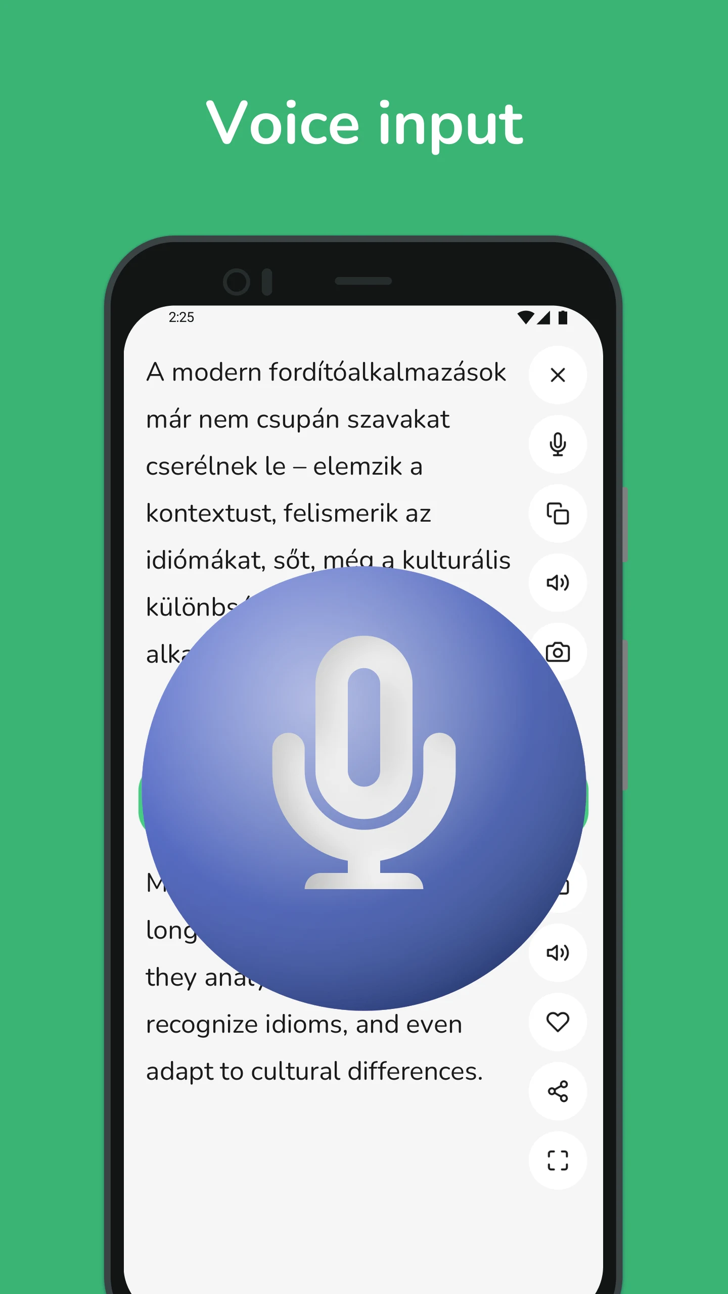 Hungarian - English Translator screenshot