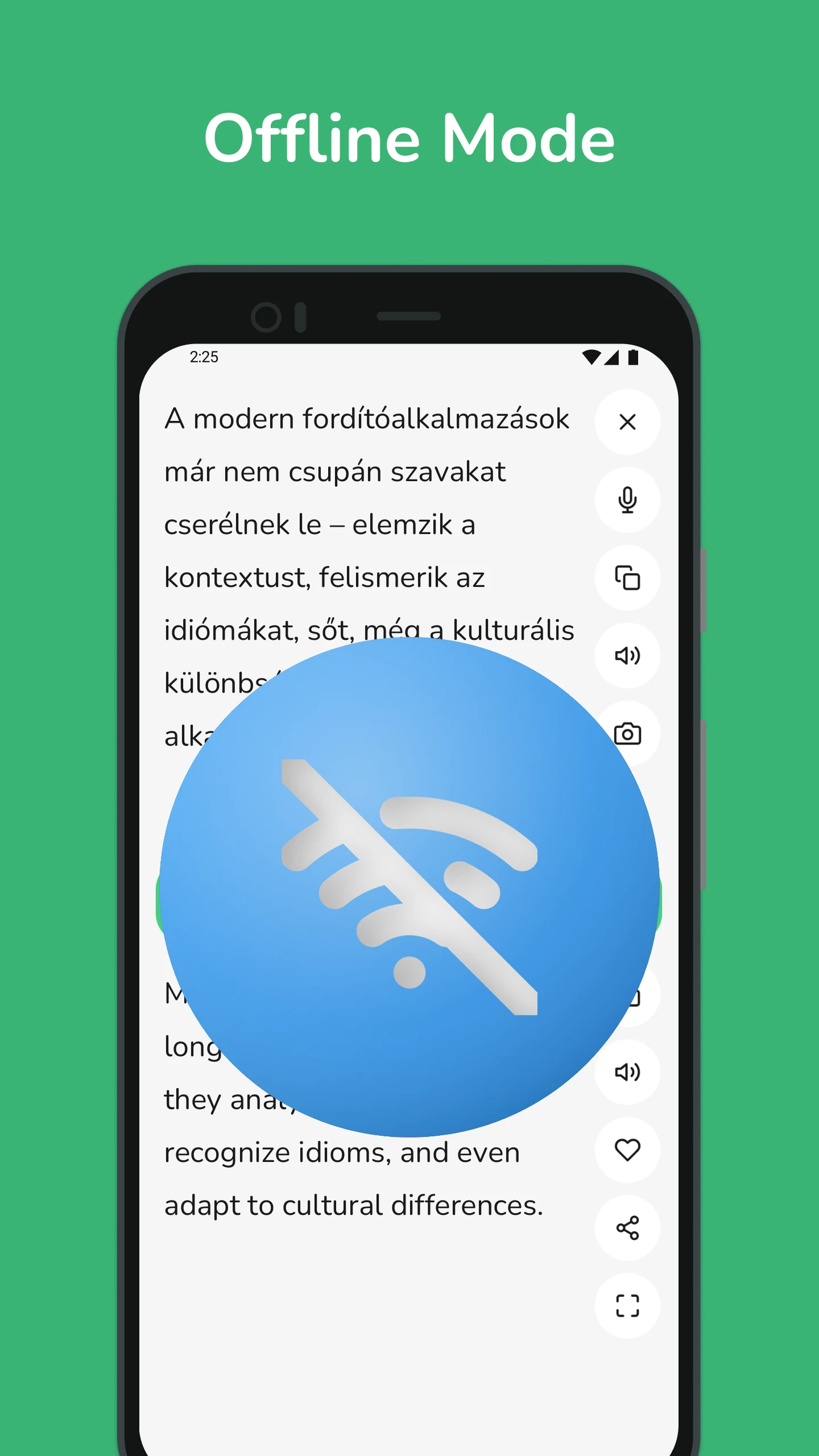 Hungarian - English Translator screenshot