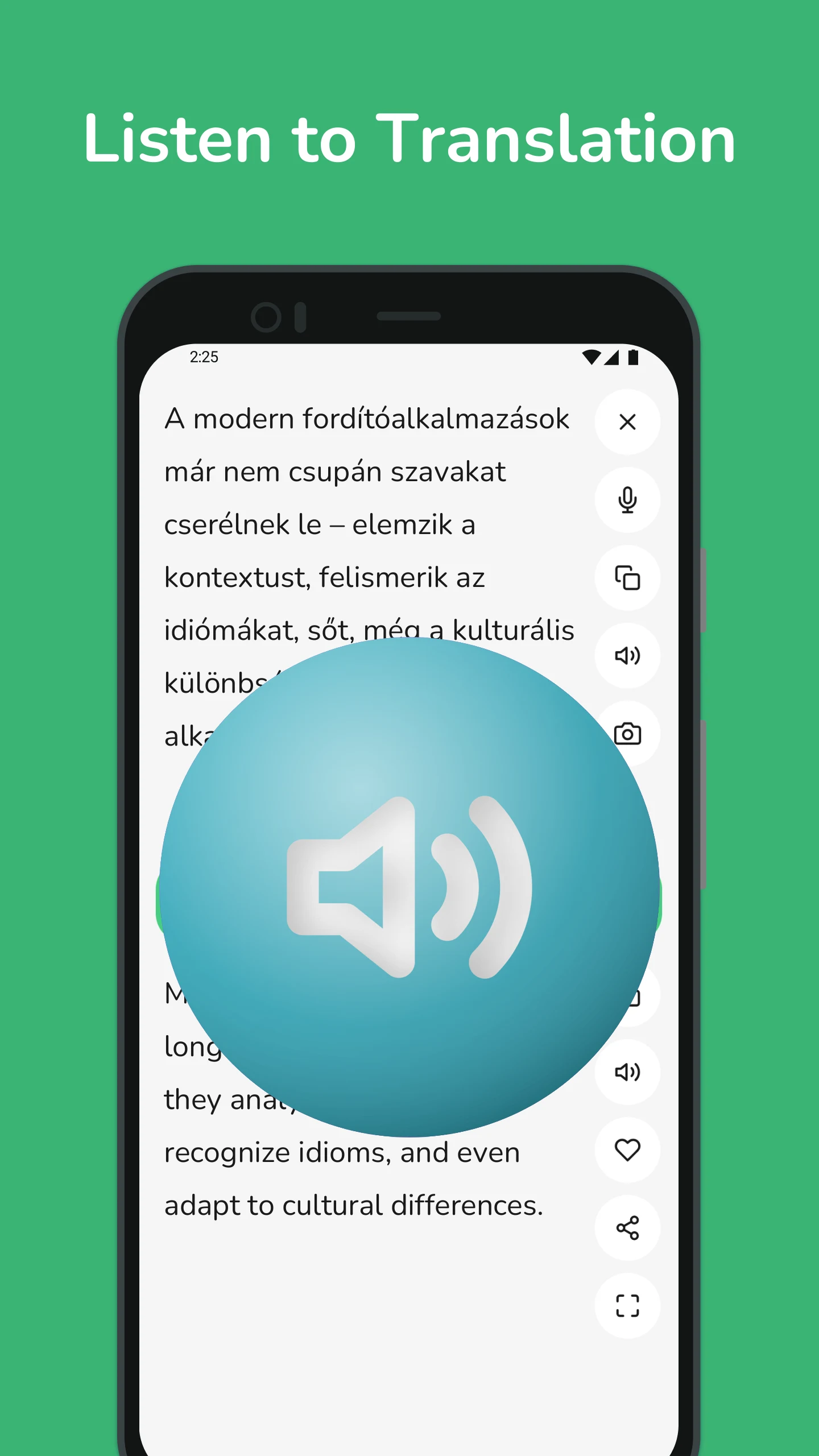 Hungarian - English Translator screenshot